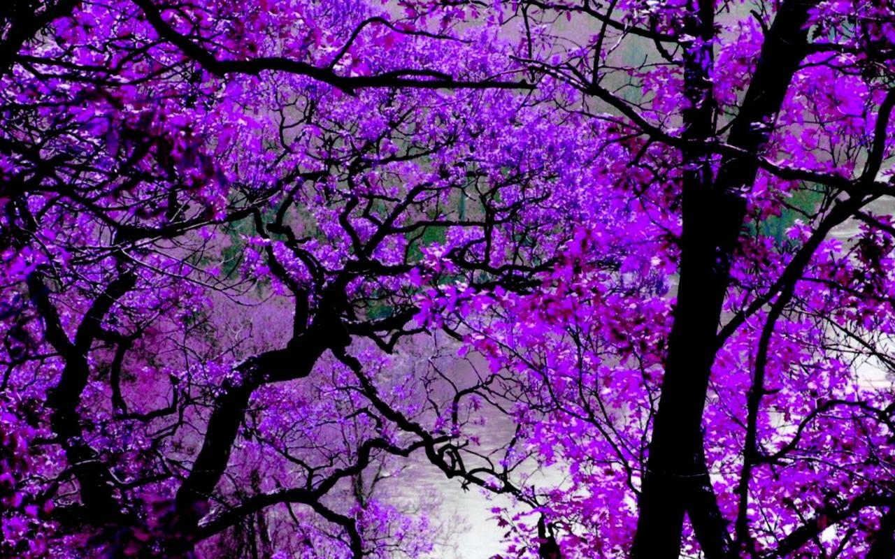 דירות סלוניקי Violet #Colony_White_Tower מראה חיצוני תמונה